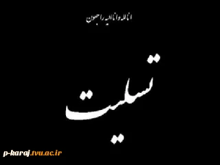 دانشگاهیان دانشگاه فنی و حرفه‌ای در پیامی شهادت جمعی از نیروهای جان‌برکف فراجا در شهرستان راسک استان سیستان و بلوچستان را تسلیت گفتند